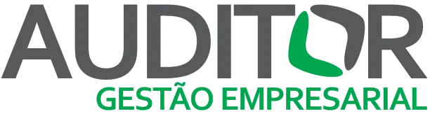 Auditor